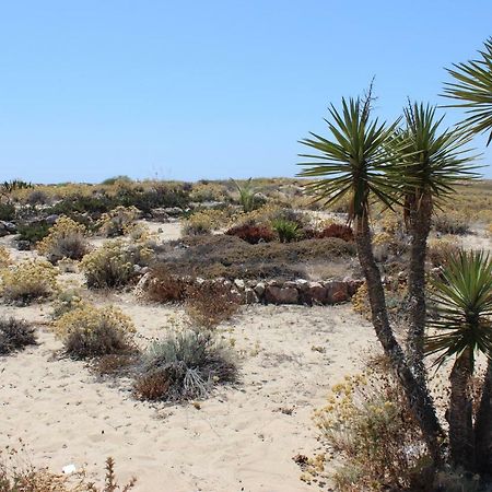 Pedras Del Rei Studio Tavira Dış mekan fotoğraf
